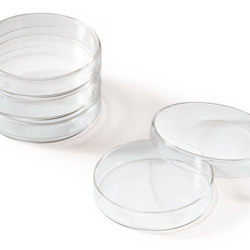 Petri dishes