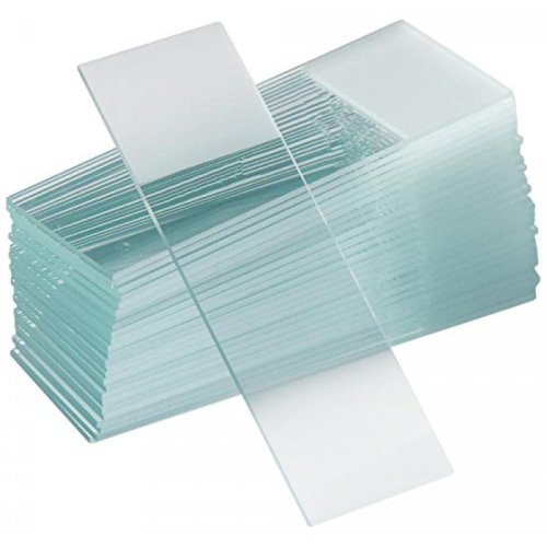 Frosted microscope slides
