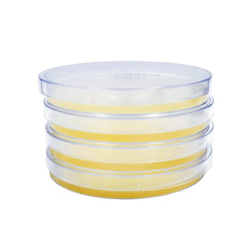 Nutrient agar